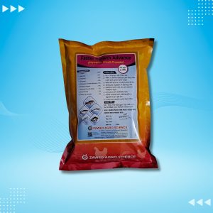 Faster Growth Advance