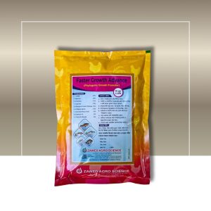 Faster Growth Advance