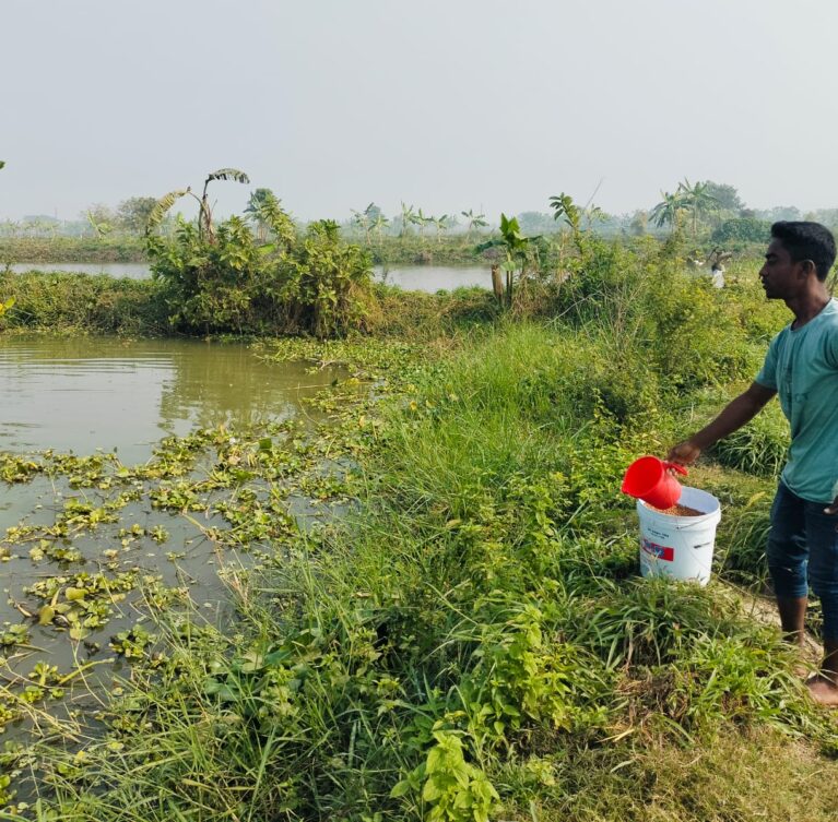 Testing services to monitor pH, ammonia, and dissolved oxygen levels, followed by expert recommendations to prevent disease outbreaks.