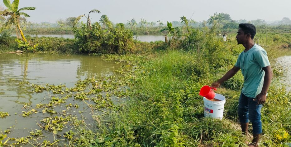 The ability to create bespoke (custom) medicinal or nutritional formulas tailored to the specific needs of a large-scale fish farm or a particular species.