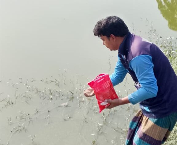 Testing services to monitor pH, ammonia, and dissolved oxygen levels, followed by expert recommendations to prevent disease outbreaks.