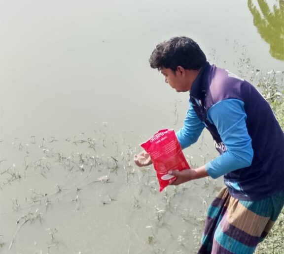 Testing services to monitor pH, ammonia, and dissolved oxygen levels, followed by expert recommendations to prevent disease outbreaks.