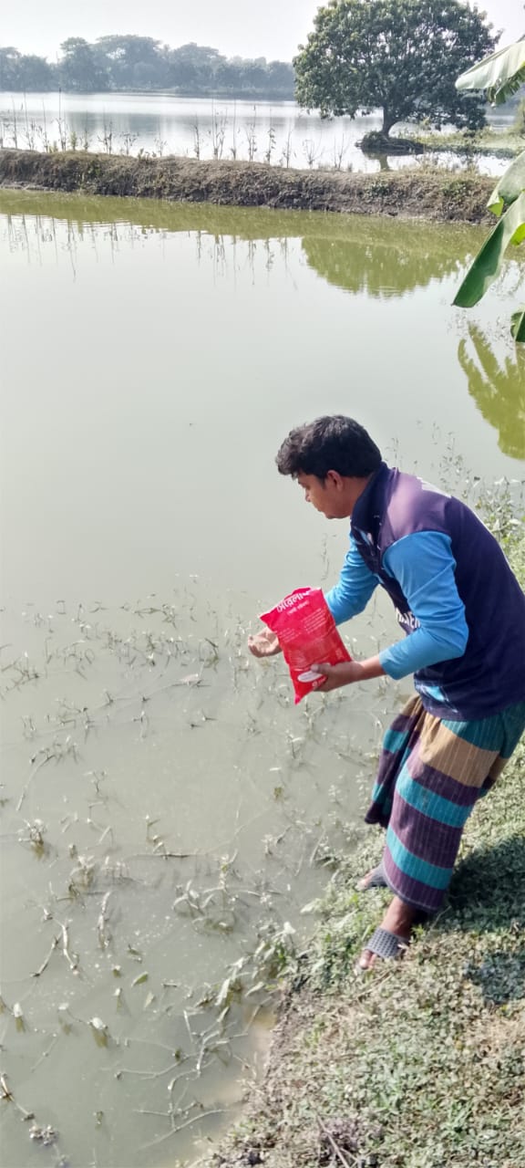 Testing services to monitor pH, ammonia, and dissolved oxygen levels, followed by expert recommendations to prevent disease outbreaks.